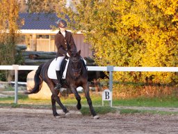 IMG_8121_web
